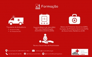 Formação/Ensino