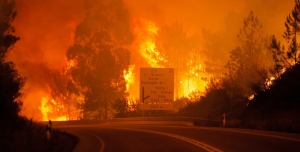 Em acção, na recuperação após os incêndios